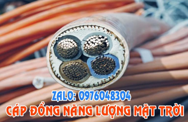 CÔNG TY TNHH THU MUA PHẾ LIỆU BẮC TRUNG NAM